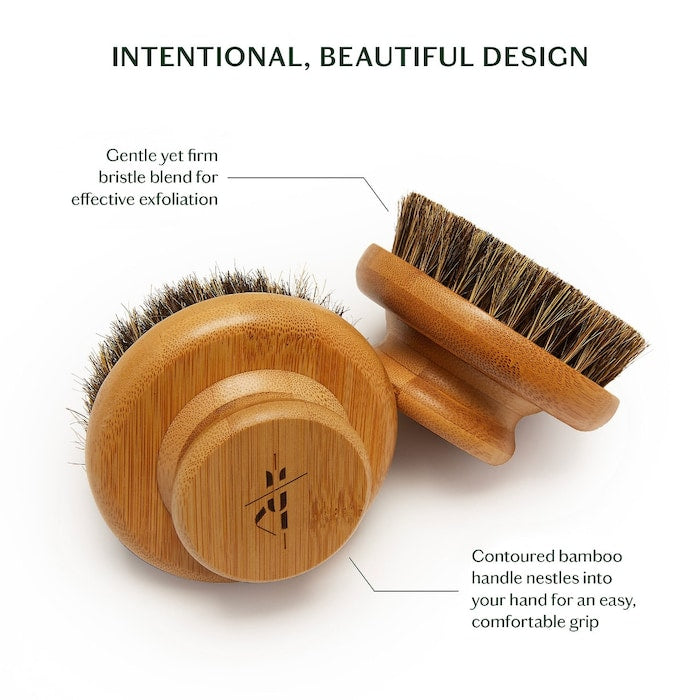The Dry Brush - GLAM MODA