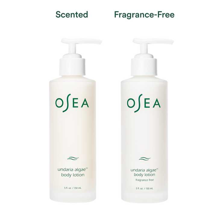 Undaria Algae Body Lotion - GLAM MODA