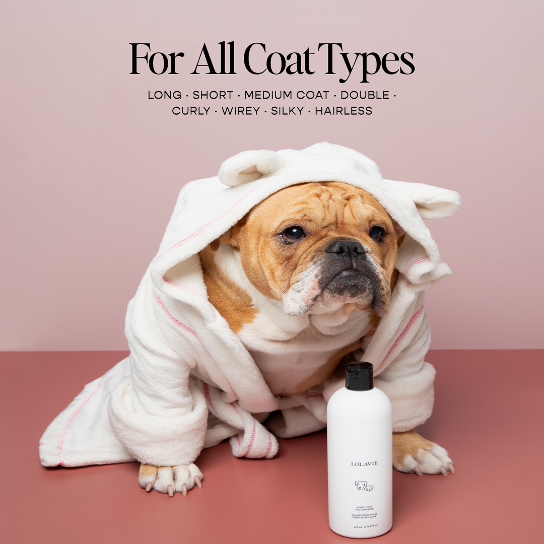 Puppy Love Dog Shampoo - GLAM MODA