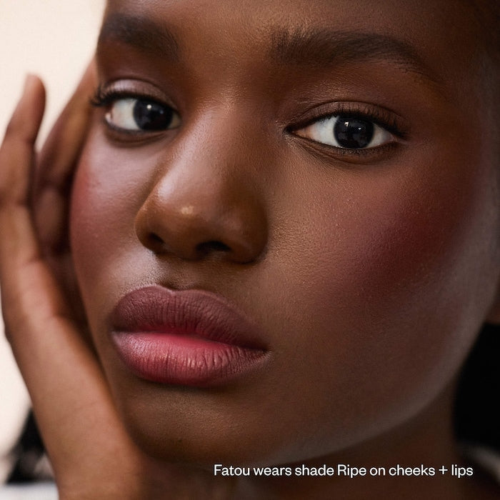 Impressionist Multistick Cream Blush Stick + Lip Color - GLAM MODA