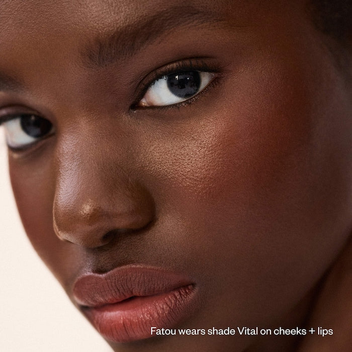 Impressionist Multistick Cream Blush Stick + Lip Color - GLAM MODA