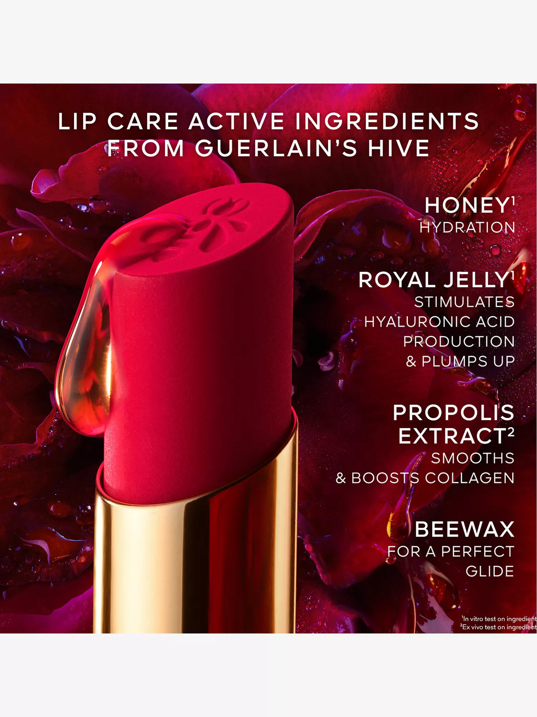 KissKiss Honey-Infused Intense Lipstick 1.85g - GLAM MODA
