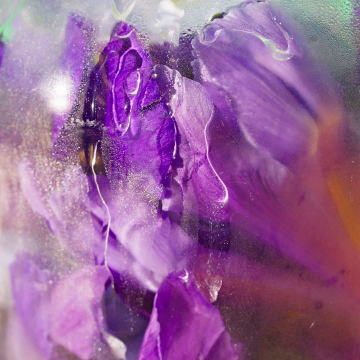 Feuille De The Perfume - GLAM MODA