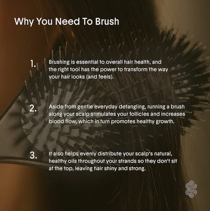 The Boar Hair Brush No. 003 for Fine, Thin Hair - GLAM MODA
