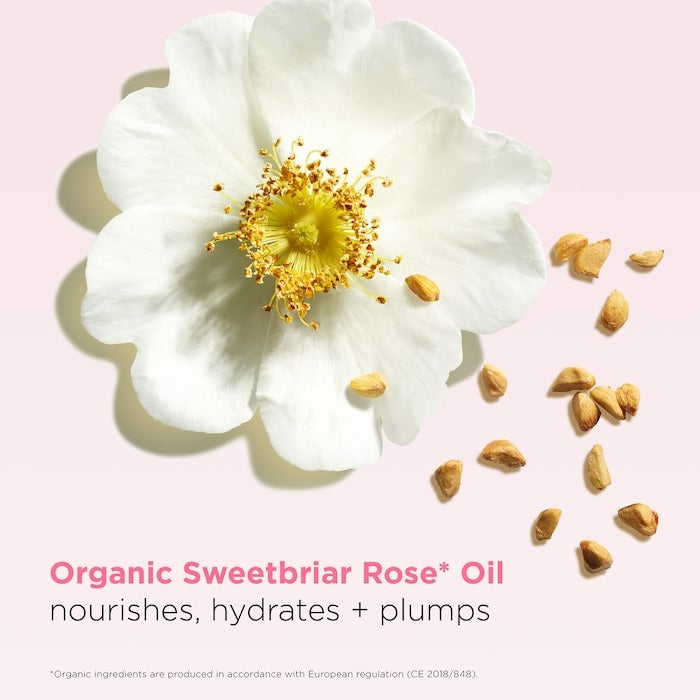 Hydrating Peptide & Plumping Lip Oil Balm - GLAM MODA
