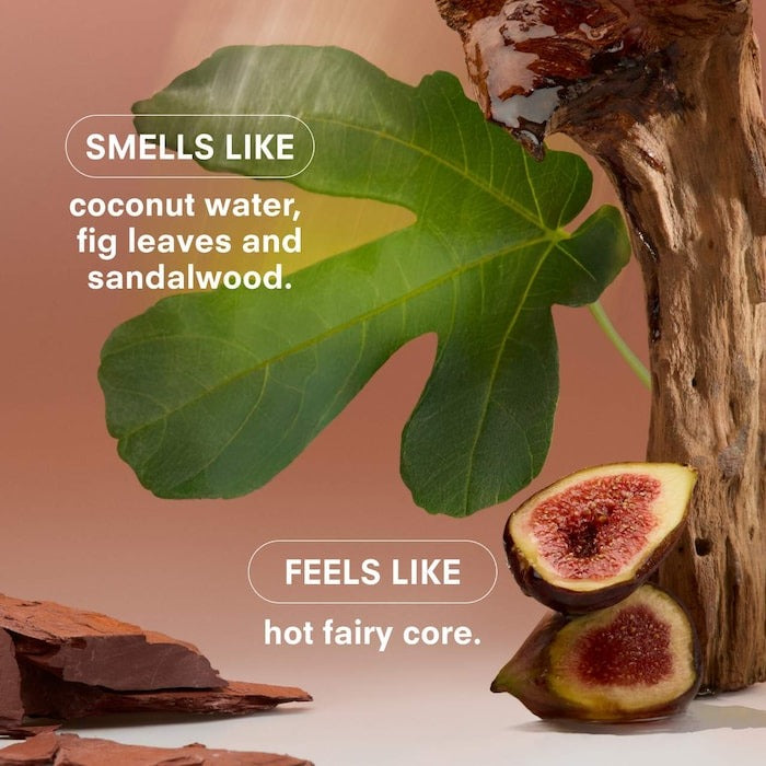 Woodphoria Perfume with Fig - GLAM MODA