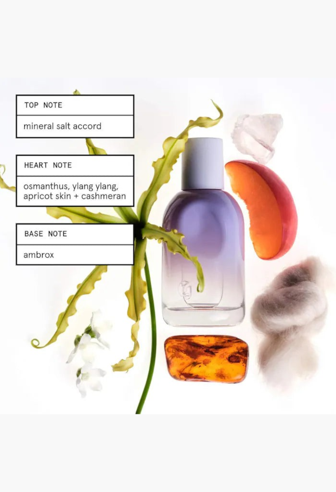 GLAM MODA perfume bottle surrounded by artistic botanical elements and fragrance notes like mineral salt and apricot.
