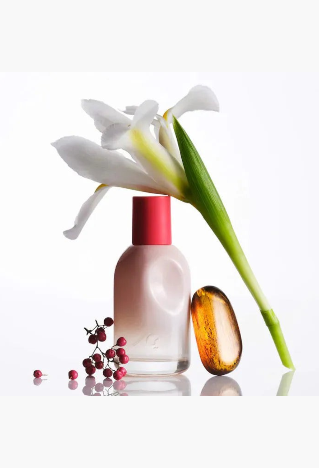 GLAM MODA perfume sampler set featuring a Glossier You fragrance bottle with a white iris flower and pink berries.