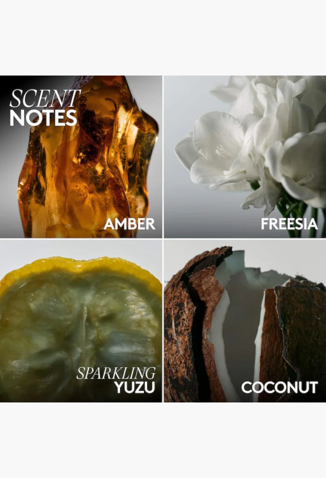 GLAM MODA Butta Drop body milk scent notes featuring amber, white freesia, sparkling yuzu, and coconut ingredients.