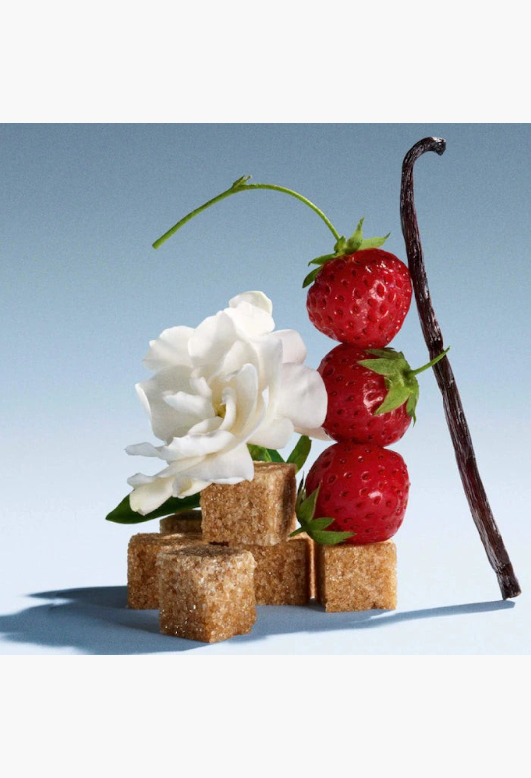 GLAM MODA perfume sampler set ingredients featuring fresh strawberries, a white gardenia flower, brown sugar cubes, and a vanilla bean.