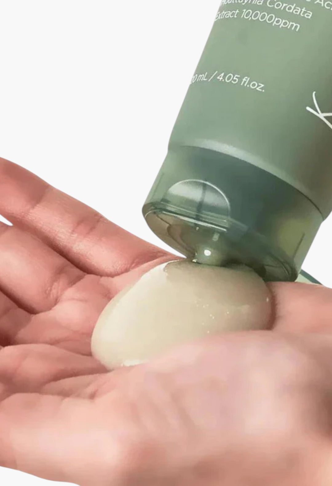 Heartleaf Quercetinol Pore Deep Cleansing Foam - GLAM MODA